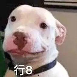 微信娱乐圈吃瓜公众号,明星背后的那些事儿